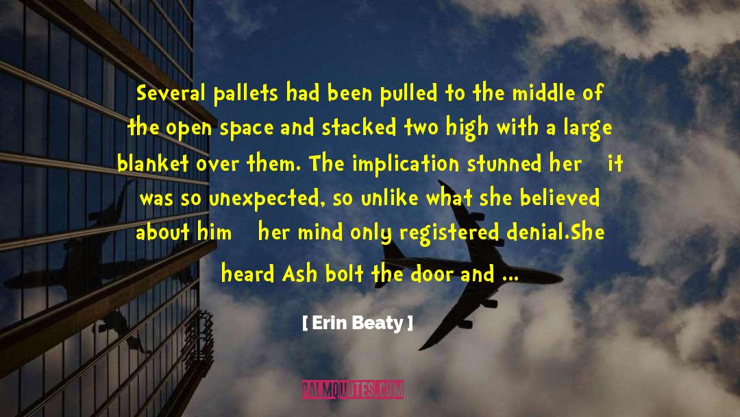 Erin Beaty Quotes: Several pallets had been pulled
