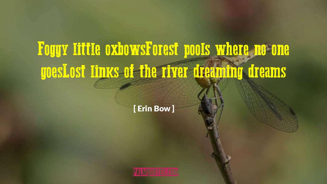 Erin Bow Quotes: Foggy little oxbows<br>Forest pools where