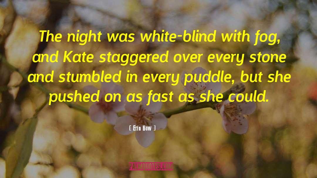 Erin Bow Quotes: The night was white-blind with