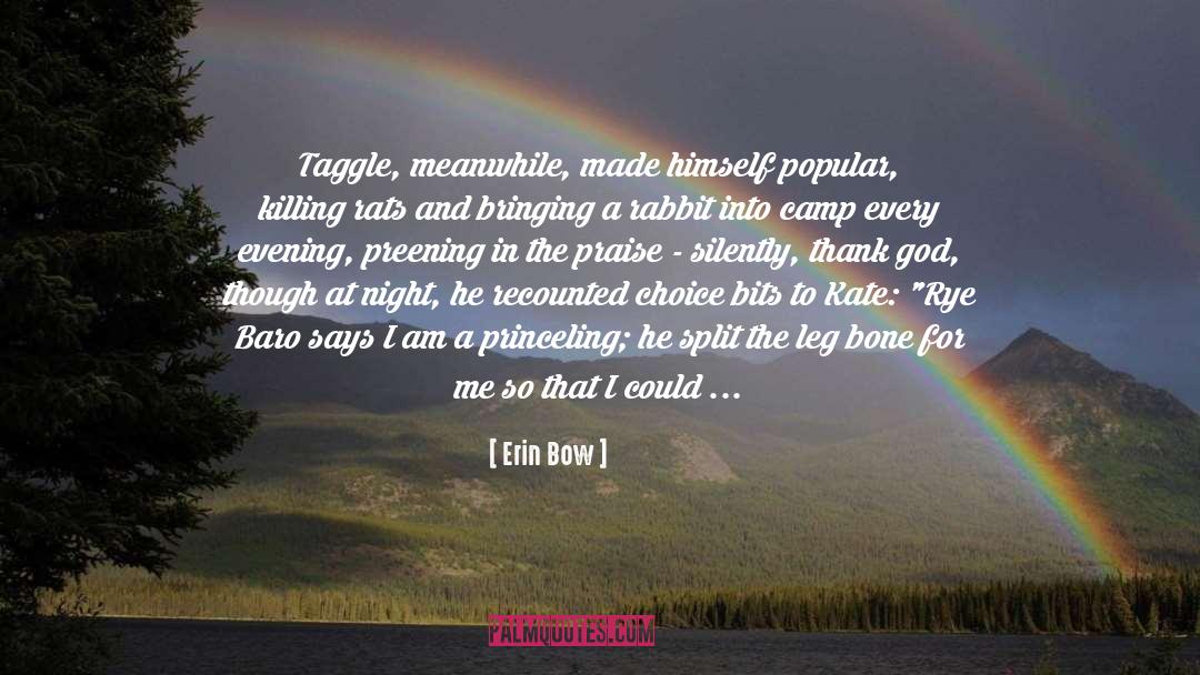 Erin Bow Quotes: Taggle, meanwhile, made himself popular,