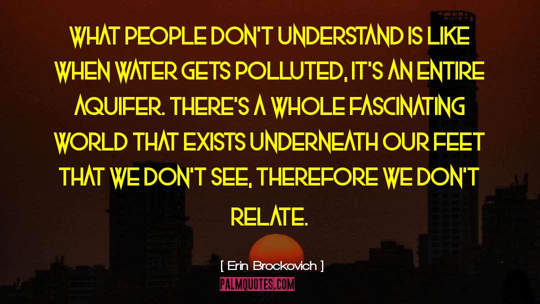 Erin Brockovich Quotes: What people don't understand is