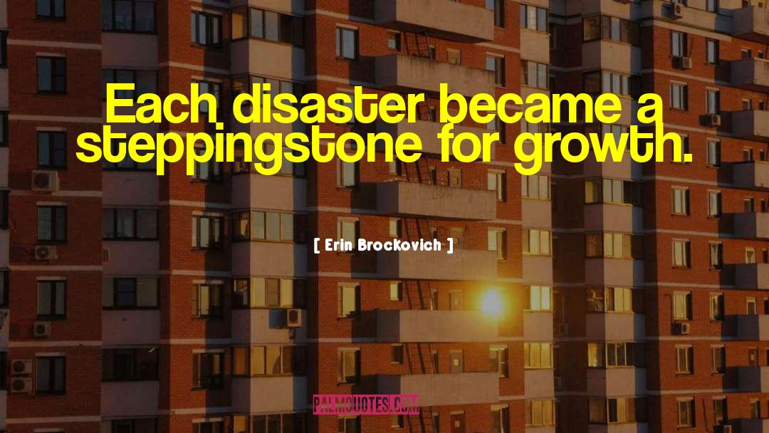 Erin Brockovich Quotes: Each disaster became a steppingstone