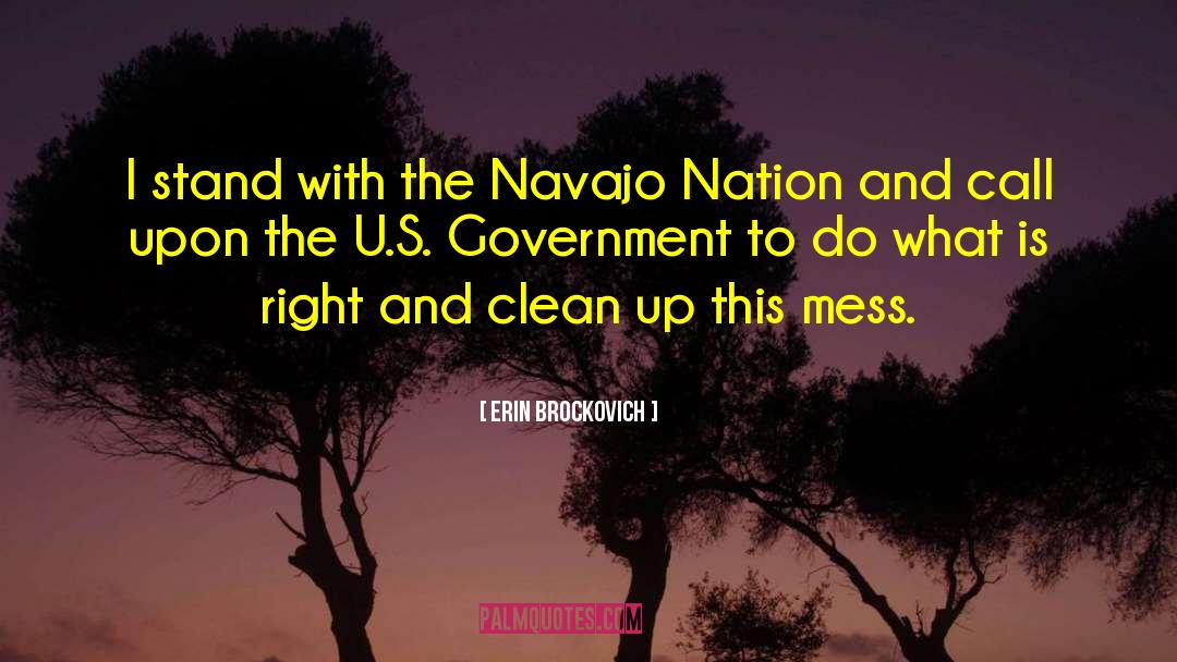 Erin Brockovich Quotes: I stand with the Navajo