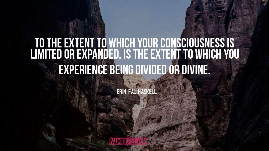 Erin Fal Haskell Quotes: To the extent to which