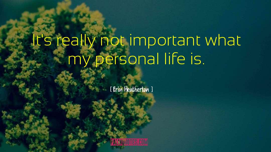 Erin Heatherton Quotes: It's really not important what