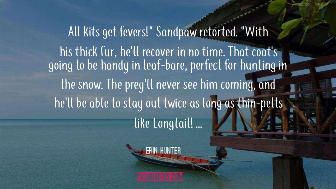 Erin Hunter Quotes: All kits get fevers!