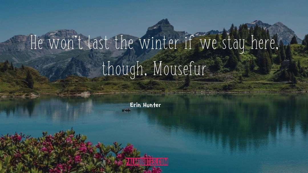 Erin Hunter Quotes: He won't last the winter
