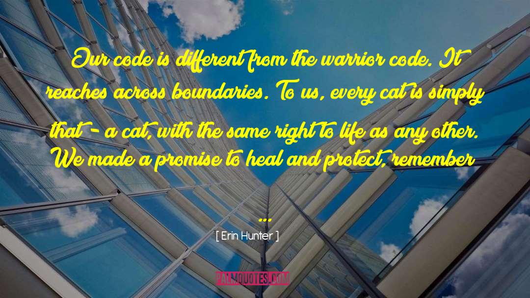 Erin Hunter Quotes: Our code is different from