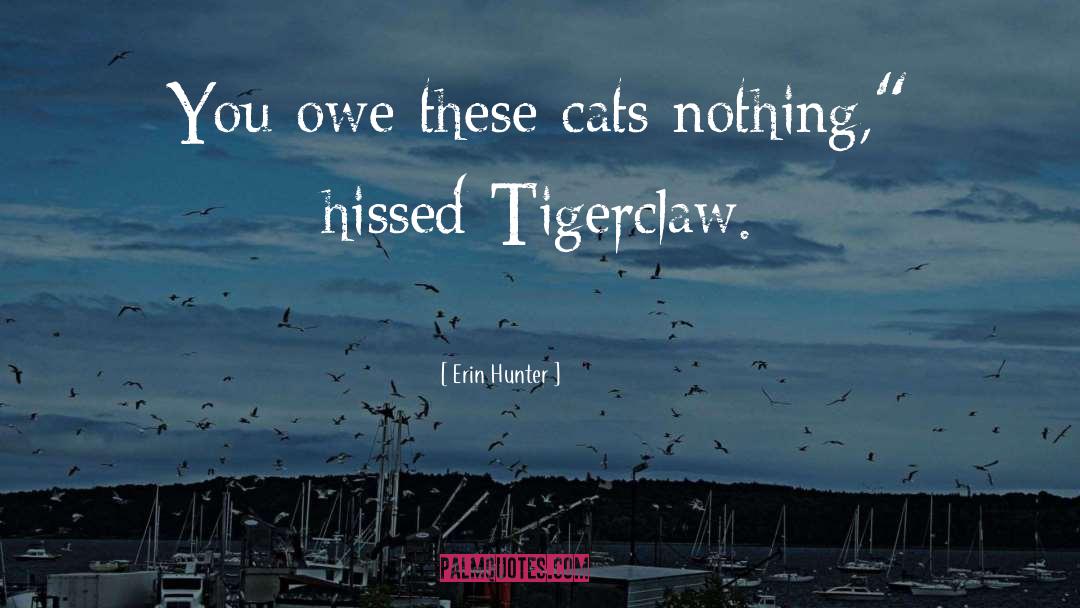 Erin Hunter Quotes: You owe these cats nothing,