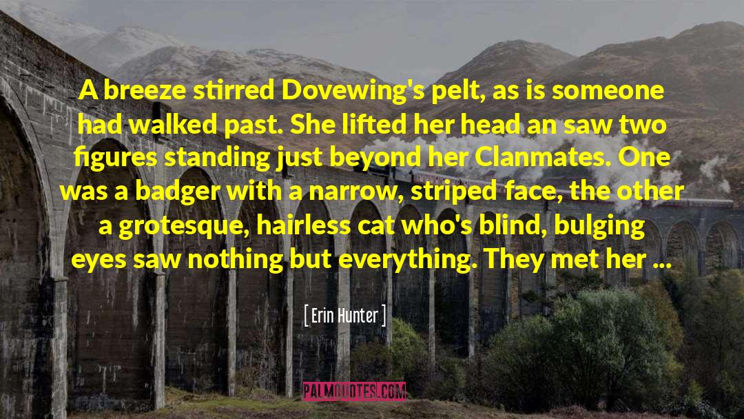 Erin Hunter Quotes: A breeze stirred Dovewing's pelt,