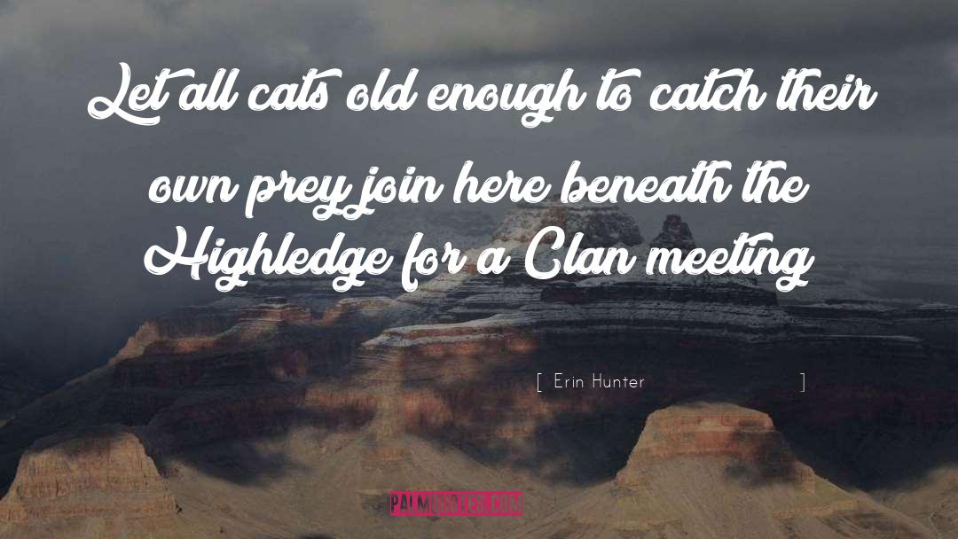 Erin Hunter Quotes: Let all cats old enough