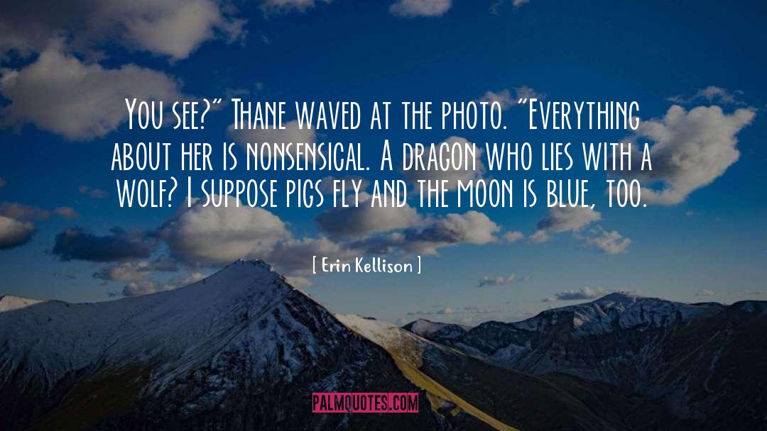 Erin Kellison Quotes: You see?