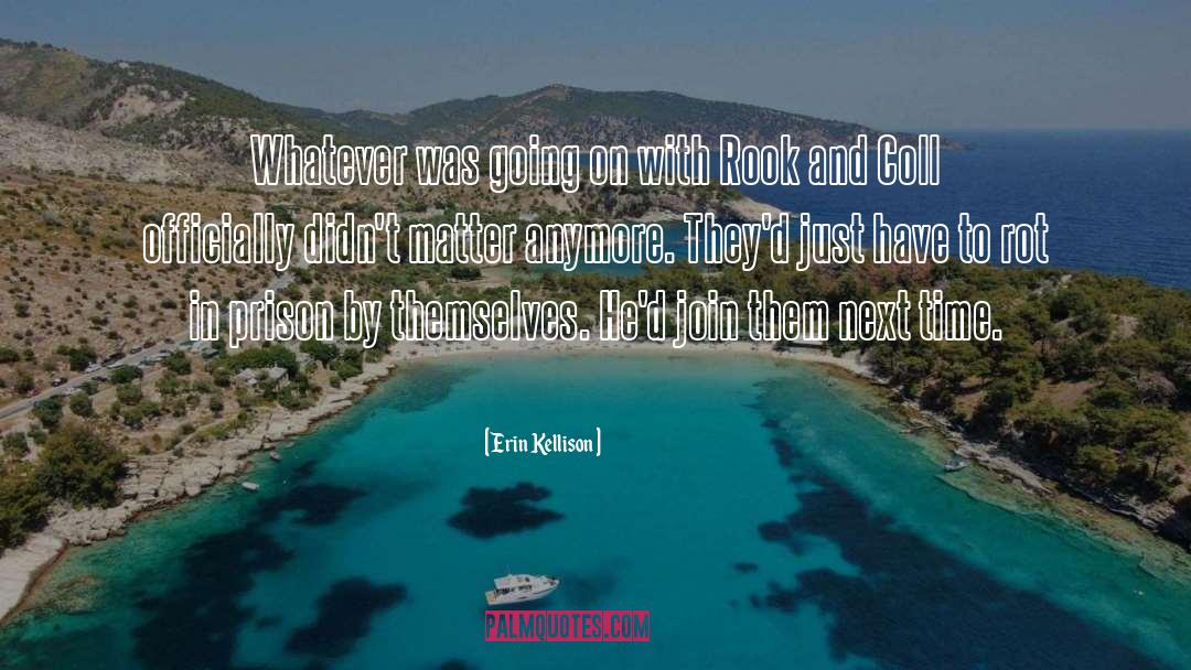 Erin Kellison Quotes: Whatever was going on with