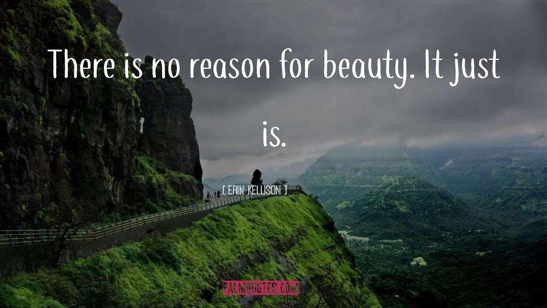 Erin Kellison Quotes: There is no reason for