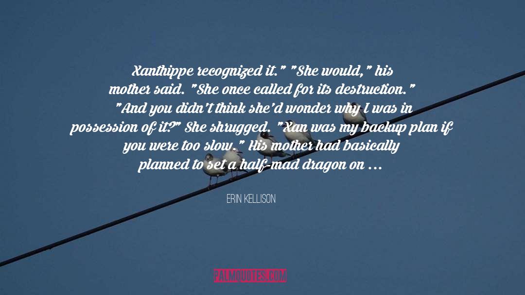 Erin Kellison Quotes: Xanthippe recognized it.