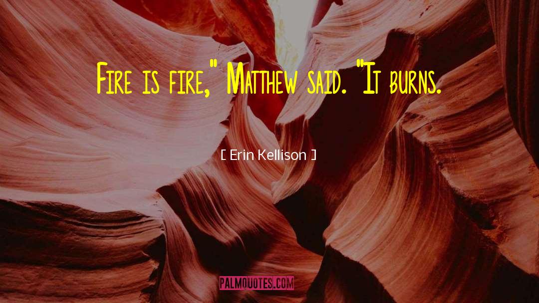 Erin Kellison Quotes: Fire is fire,