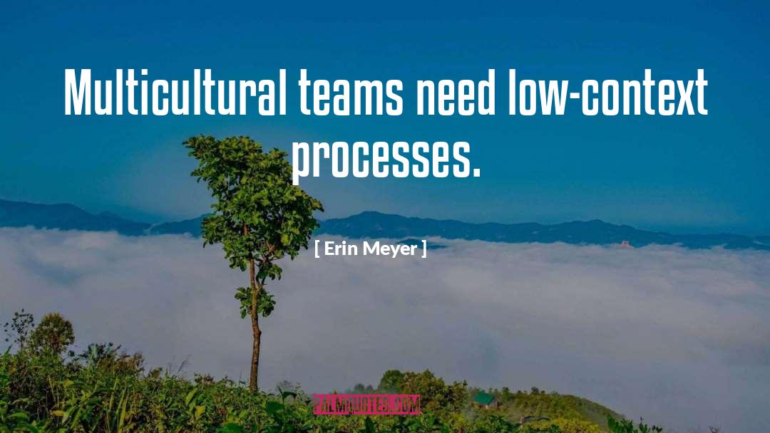 Erin Meyer Quotes: Multicultural teams need low-context processes.