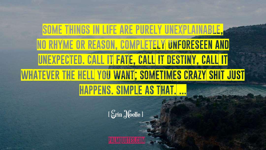 Erin Noelle Quotes: Some things in life are