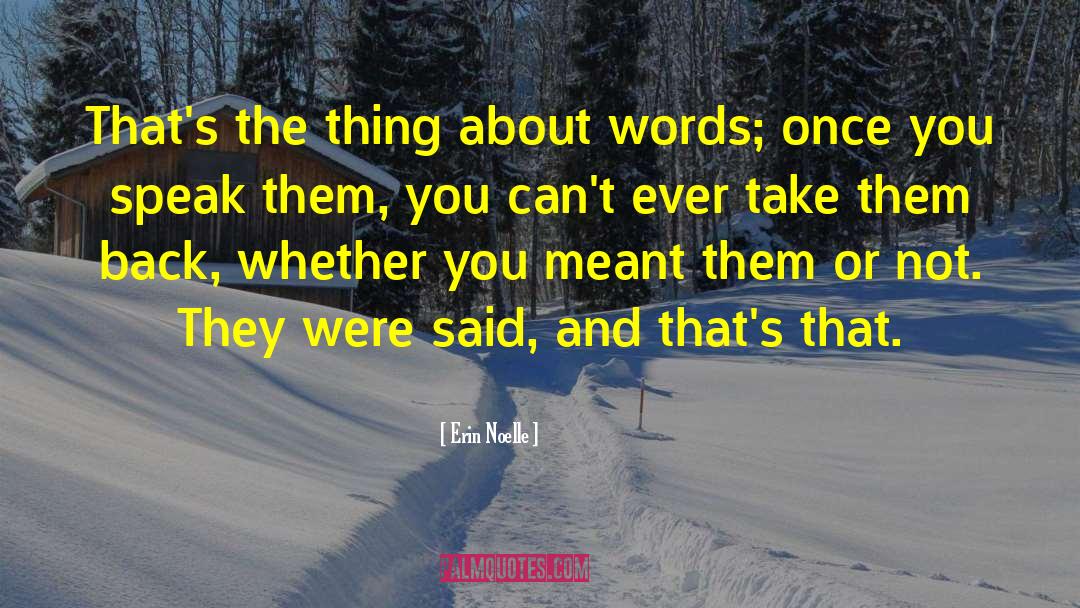 Erin Noelle Quotes: That's the thing about words;