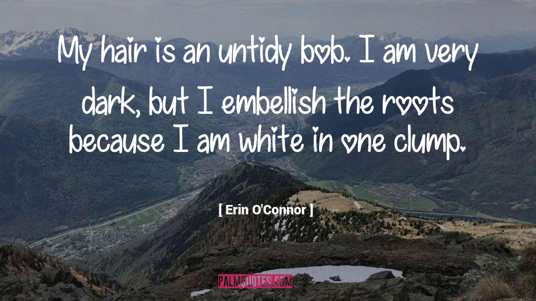 Erin O'Connor Quotes: My hair is an untidy