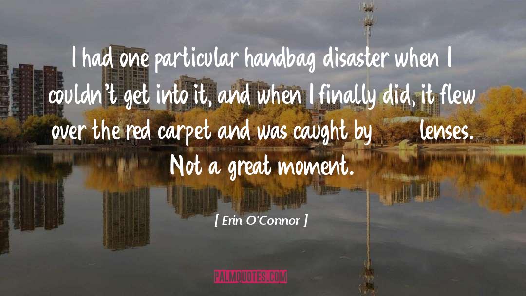 Erin O'Connor Quotes: I had one particular handbag