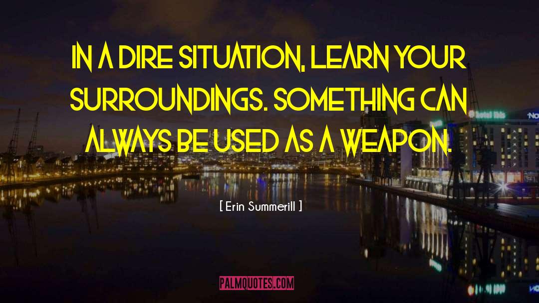 Erin Summerill Quotes: In a dire situation, learn