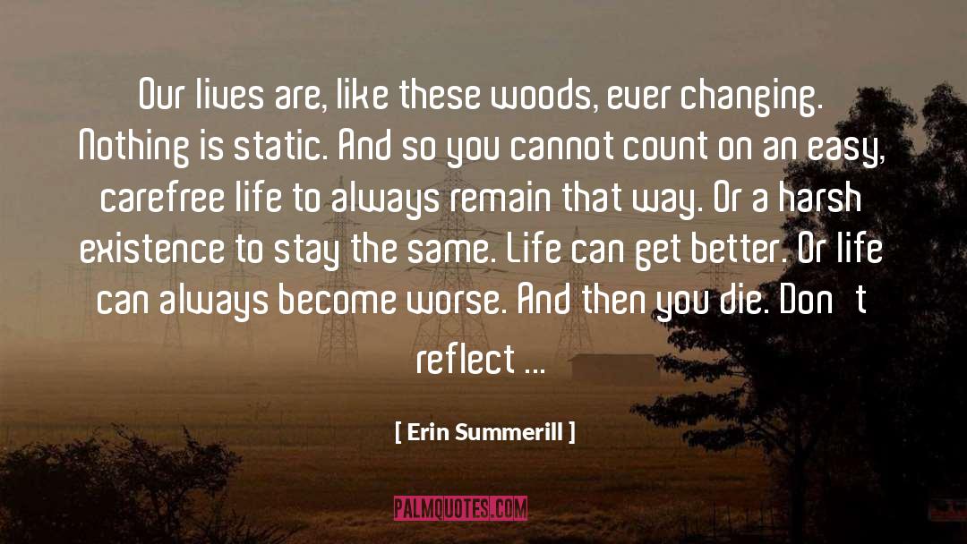 Erin Summerill Quotes: Our lives are, like these