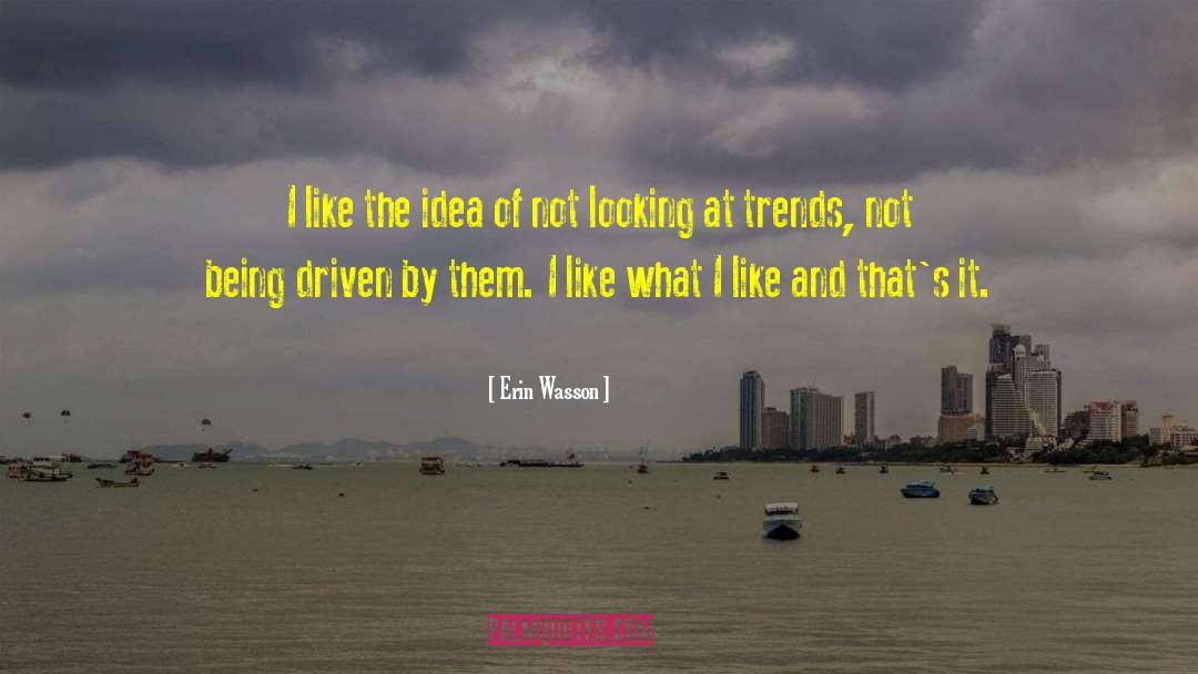 Erin Wasson Quotes: I like the idea of