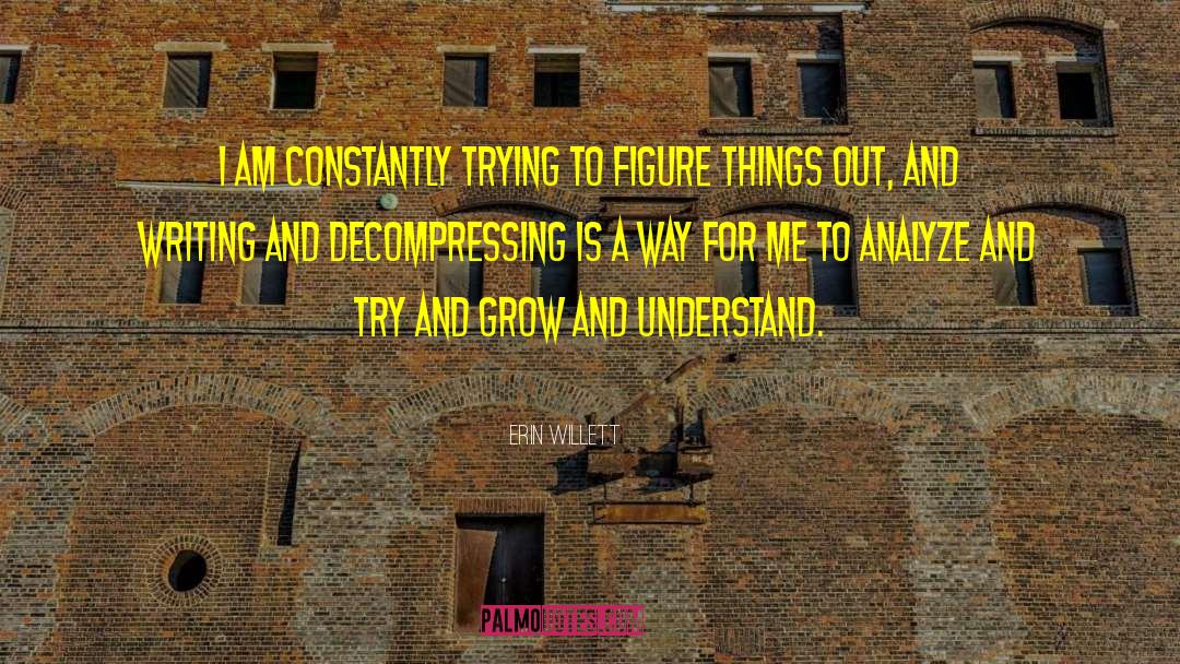 Erin Willett Quotes: I am constantly trying to