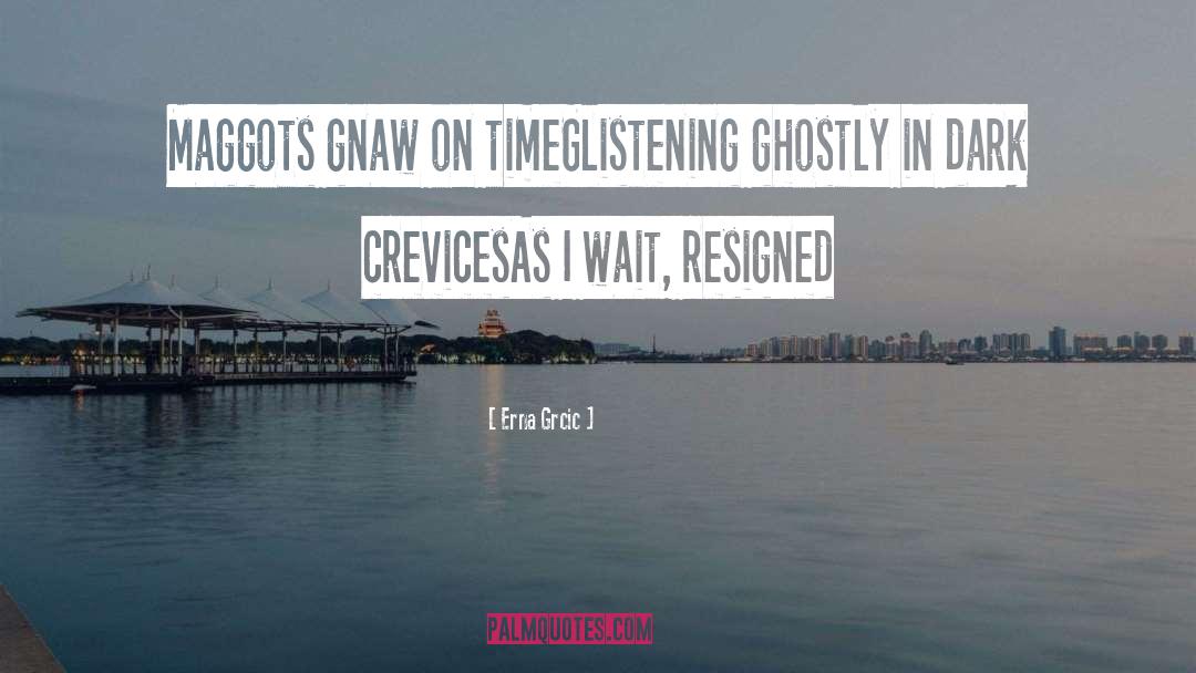 Erna Grcic Quotes: Maggots gnaw on time<br />Glistening