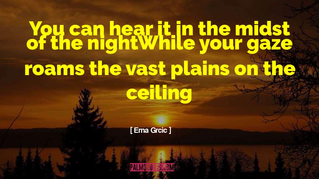 Erna Grcic Quotes: You can hear it in