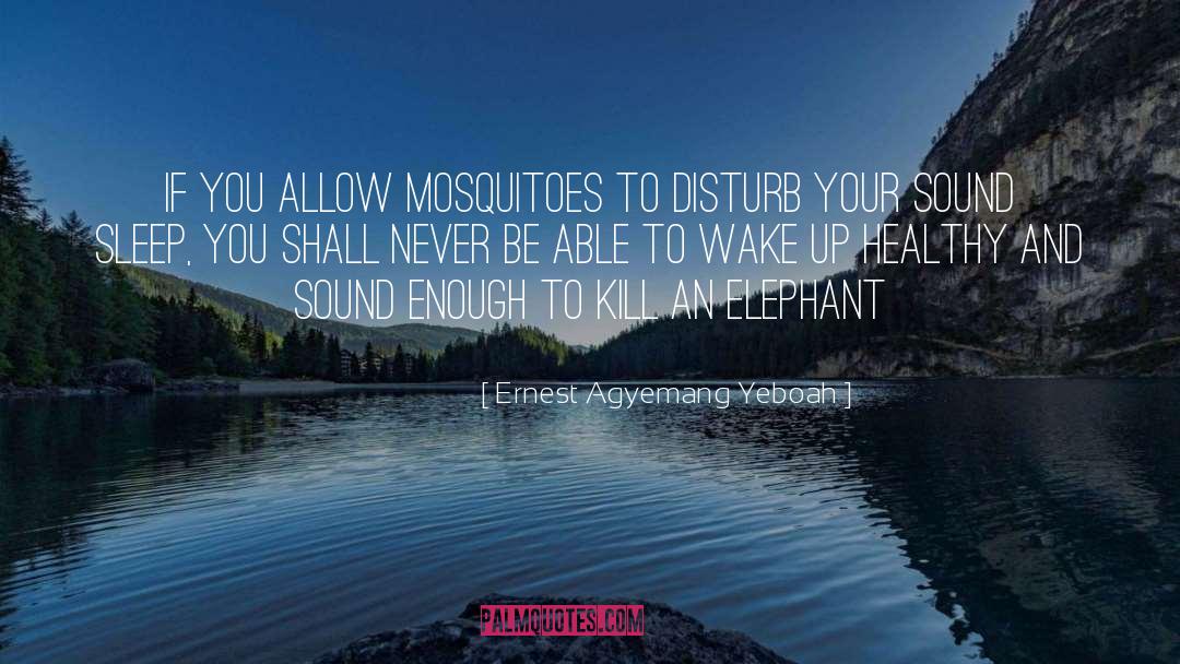 Ernest Agyemang Yeboah Quotes: If you allow mosquitoes to