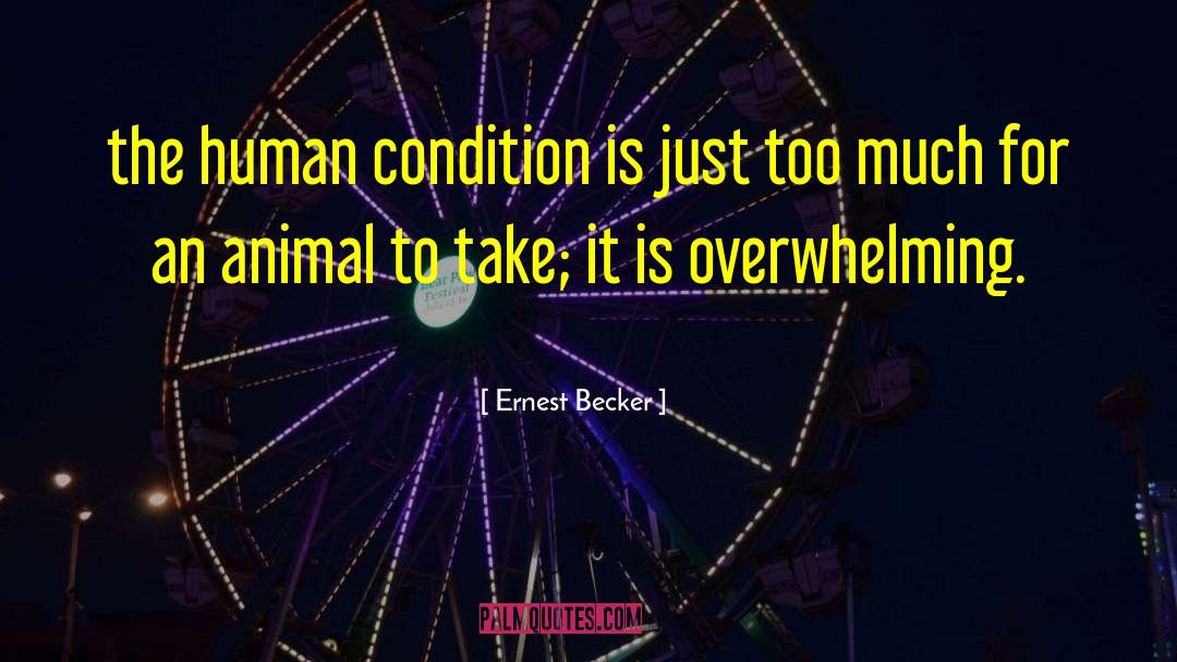 Ernest Becker Quotes: the human condition is just