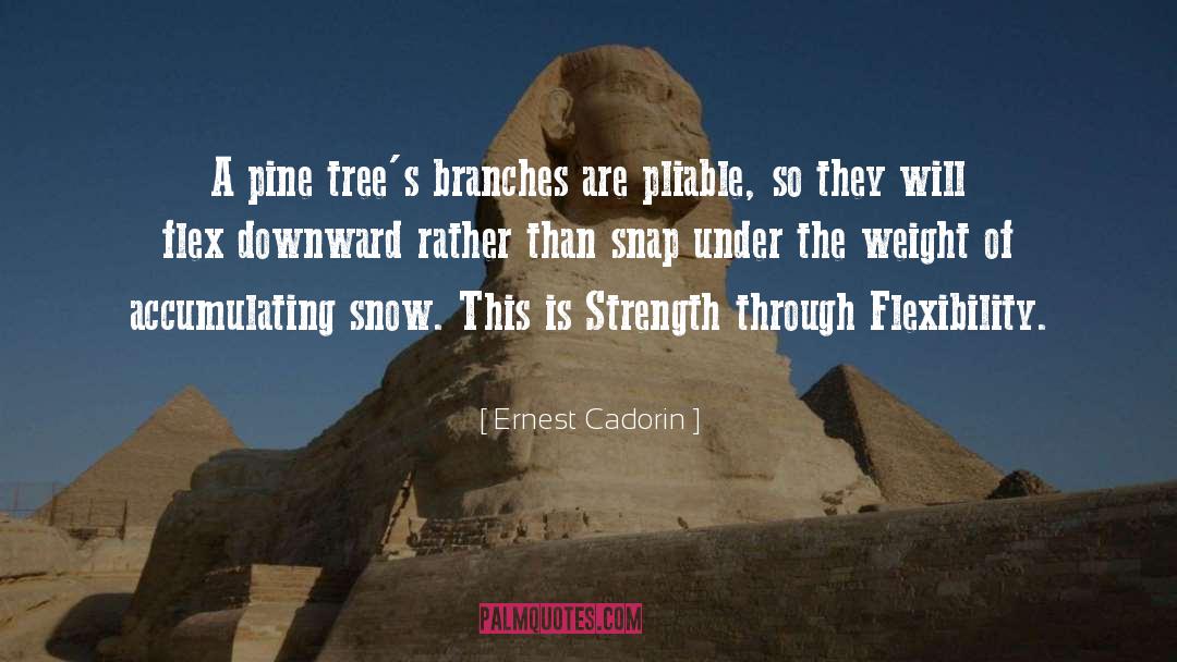 Ernest Cadorin Quotes: A pine tree's branches are