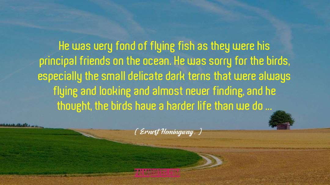 Ernest Hemingway, Quotes: He was very fond of