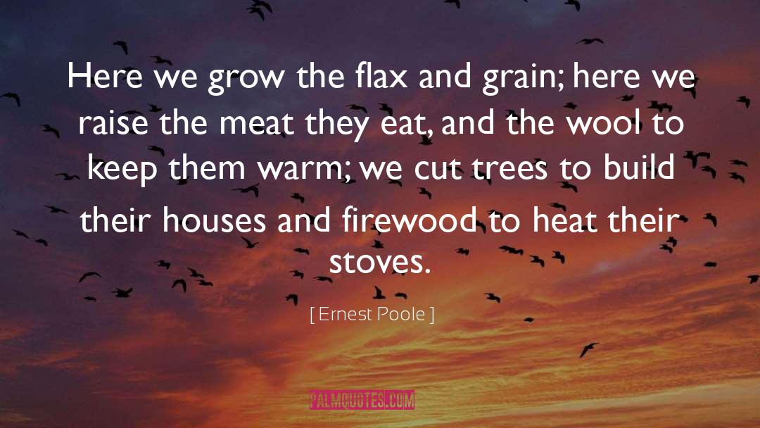Ernest Poole Quotes: Here we grow the flax