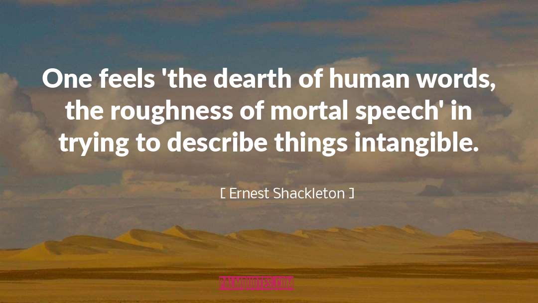 Ernest Shackleton Quotes: One feels 'the dearth of