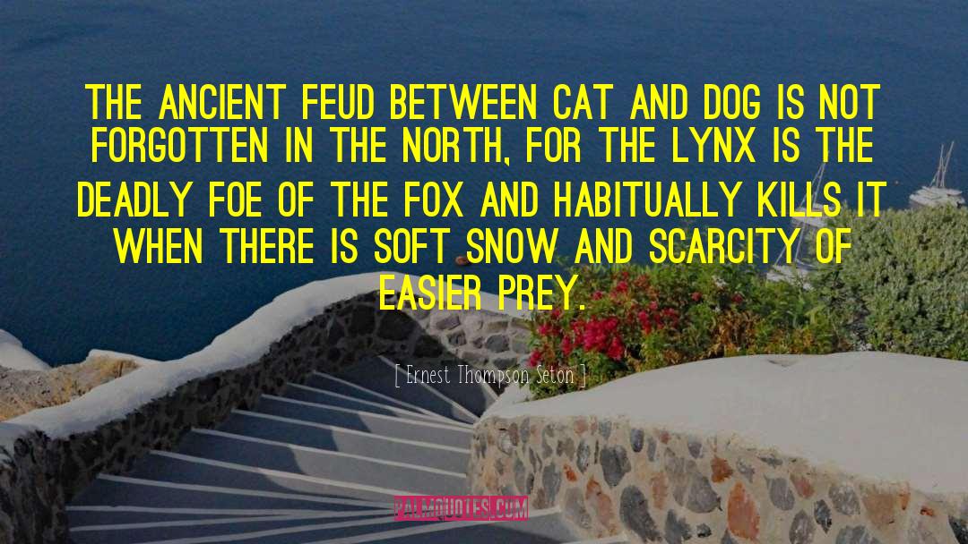 Ernest Thompson Seton Quotes: The ancient feud between cat