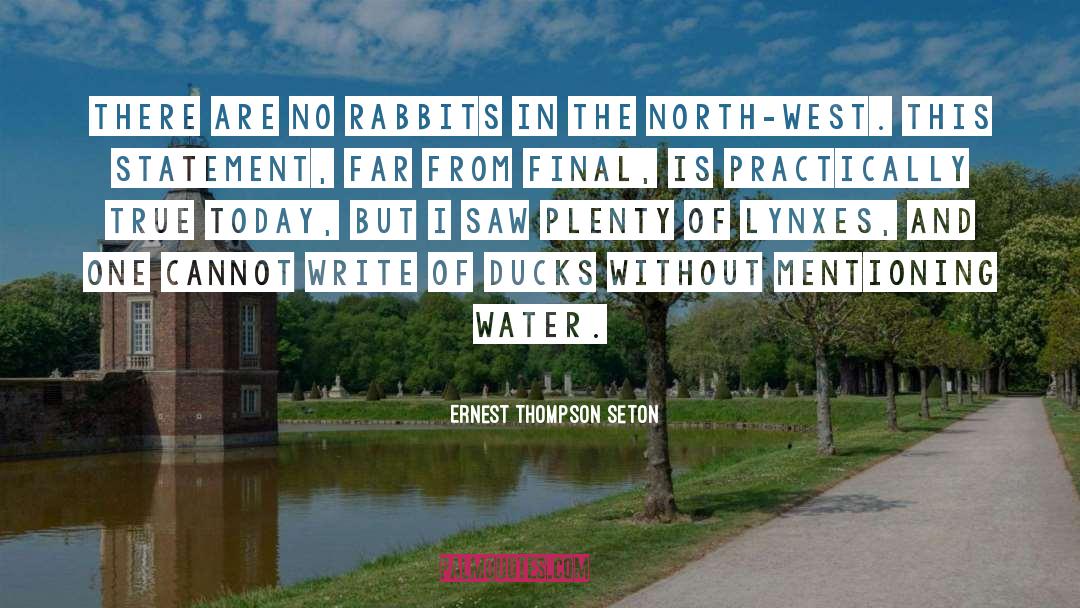 Ernest Thompson Seton Quotes: There are no Rabbits in