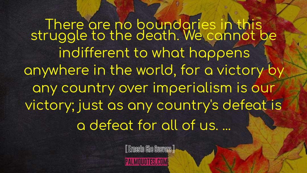 Ernesto Che Guevara Quotes: There are no boundaries in