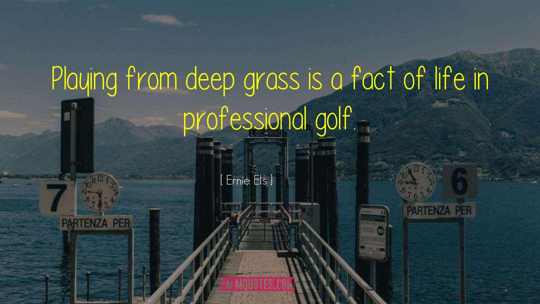 Ernie Els Quotes: Playing from deep grass is