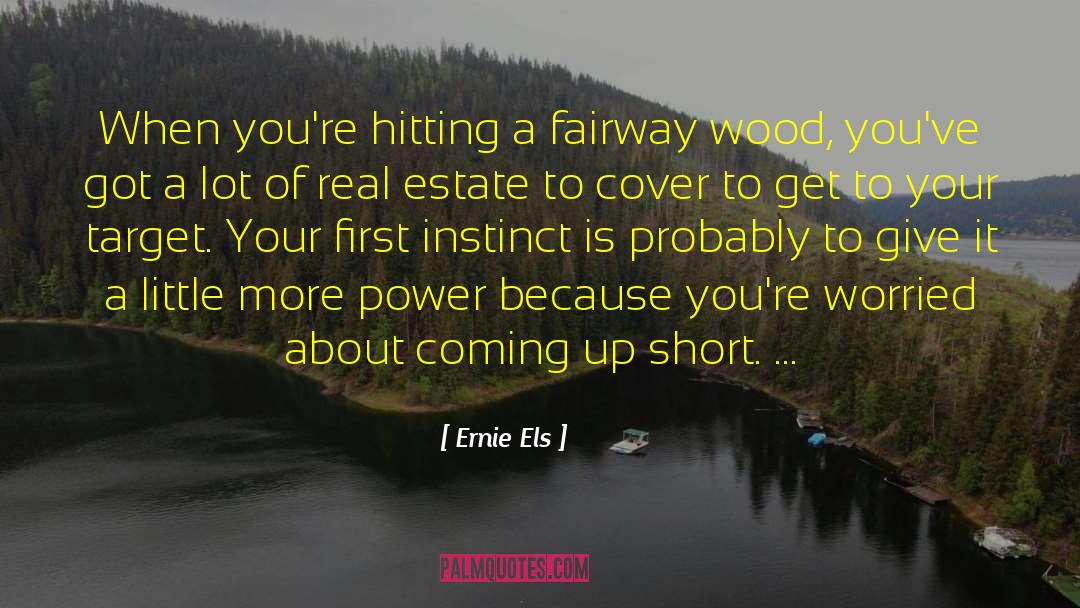 Ernie Els Quotes: When you're hitting a fairway