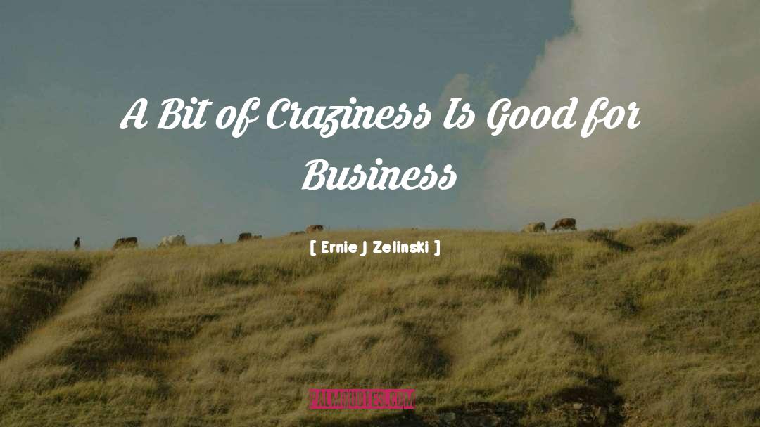 Ernie J Zelinski Quotes: A Bit of Craziness Is