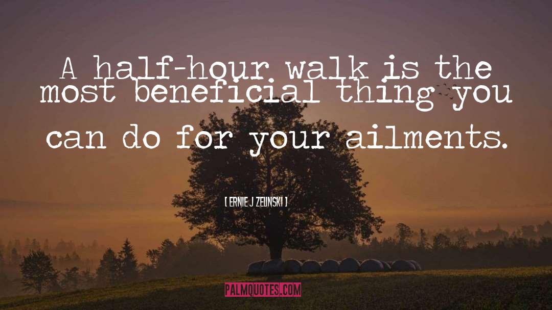 Ernie J Zelinski Quotes: A half-hour walk is the