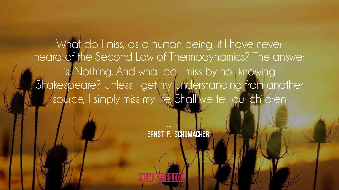 Ernst F. Schumacher Quotes: What do I miss, as