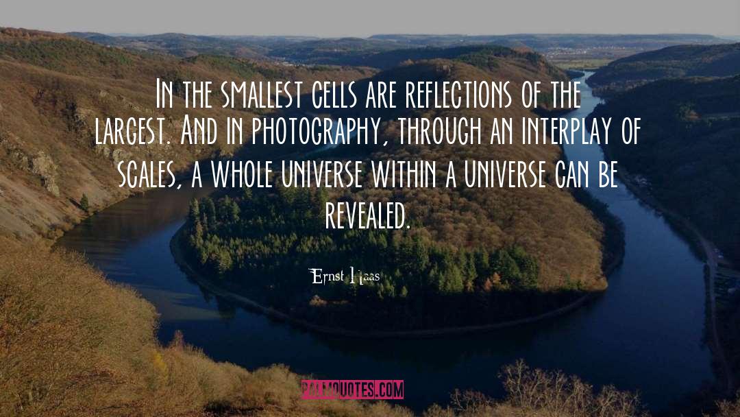 Ernst Haas Quotes: In the smallest cells are