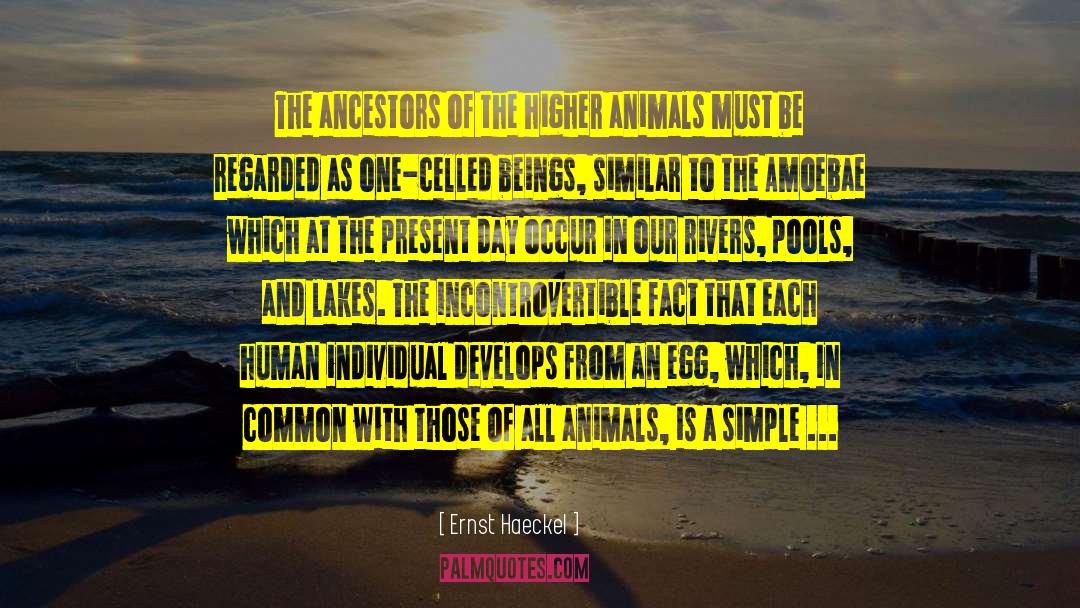 Ernst Haeckel Quotes: The ancestors of the higher