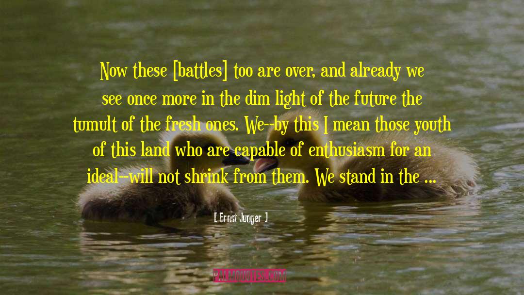 Ernst Junger Quotes: Now these [battles] too are