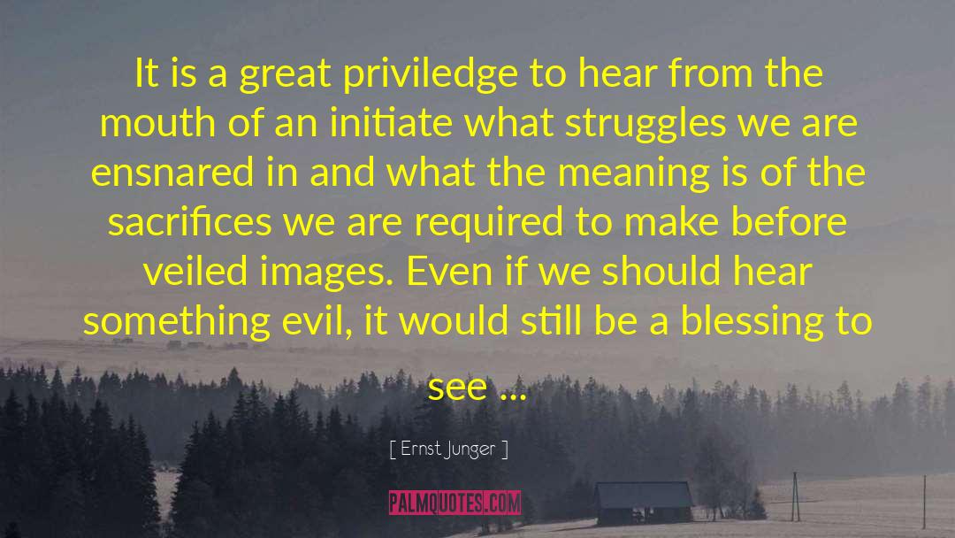 Ernst Junger Quotes: It is a great priviledge