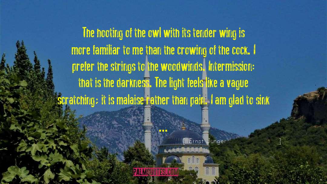 Ernst Junger Quotes: The hooting of the owl